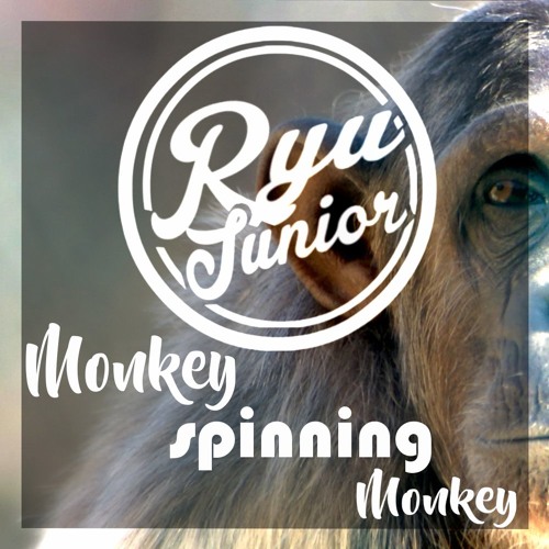 monkey spinning monkeys download