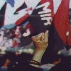 COMPAÑERO REVOLUCIONARIO(INTERLUDIO)