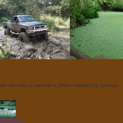 swamp_dos