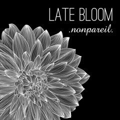 Not to Have, Not to Hold