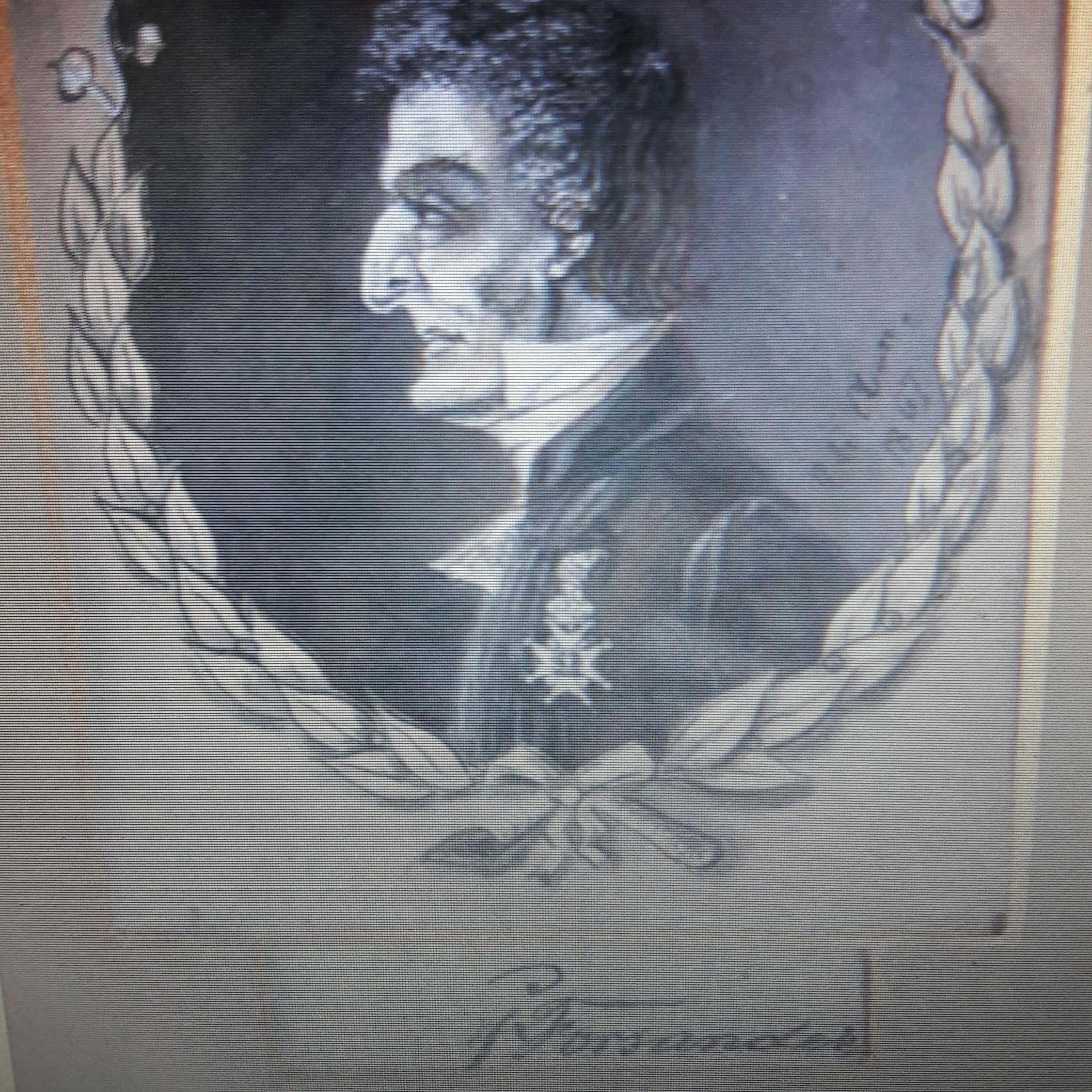 Kronobergspodden