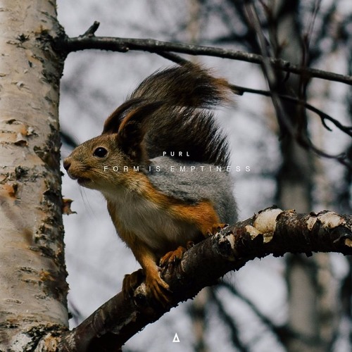 Purl - Form Is Emptiness | ARCHIVES27-CD008