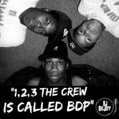 ONE TWO THREE THE CREW IS CALLED BDP MIX BY DJ BIG JEFF