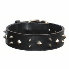 Attention Chien Méchant(extrait live)