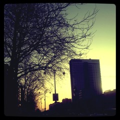 No Shade In The Shadow (Sufjan Stevens cover)