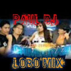 LOS DUROS DE CHIMBORAZO Y BOLIVAR MEGAMIX by LOBO'MIX ( PAUL DJ ) EL ORIGINAL