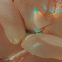 Let's go to see the stars and the moon