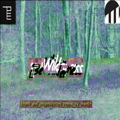 Bewilderness (Found & Reconstructed Mix by Mantle)