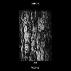 SHFTD Podcast #008 | WarinD