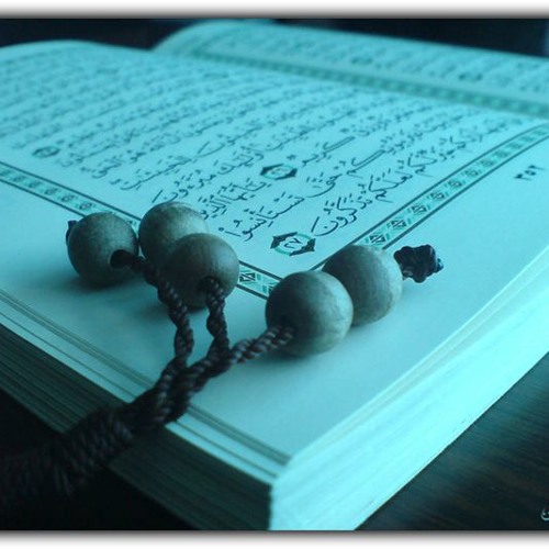 سورة فصلت Surah Fussilat 30:38 - الحسن برعيه