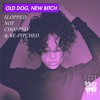 Ella Mai Old Dog New Bitch Slopped Not Chopped And Re Pitched By Y U N G J U N K Mp3
