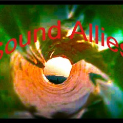 Sound Allies -,Raw & Pure (dub, but not overdub)