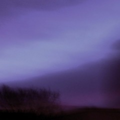 lullaby for the lost