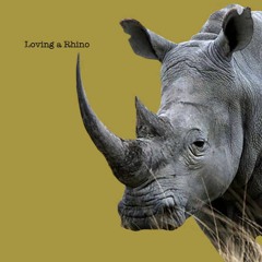 Loving A Rhino [Full Album]