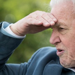 ok lets watch planet earth, then fight club