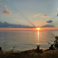 dj Cube Set @ Vibronica Festival: Metamorphosis 2016