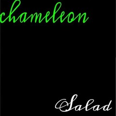 조우진 - Chameleon-Salad