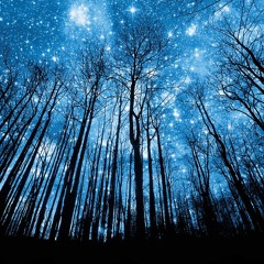 ROBOT REVOLUTION by Beauregard