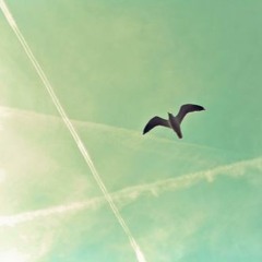 Summer On You (Alex Wilhelm Remix)