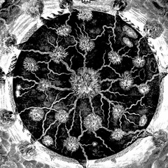 Claudio Panariello - "Flebili Stelle Nere"