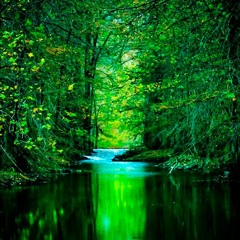The emerald river