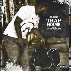 #TrapHouse (prod by yungniggahero)