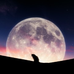 Moonbeam
