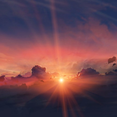 Citylights - Last Train Home