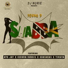 DJ Norie Presents- Shabba Ft. Ayo Jay X Kerwin Dubois X Konshens X Timaya