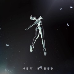 LEViT∆TE - New Breed