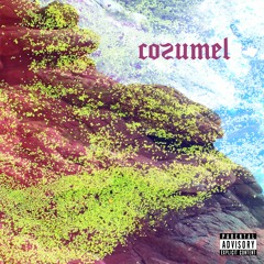 cozumel ft Mason Deanda, Titus Gilner, Ashton Fun & The Trees (prod. lungs)