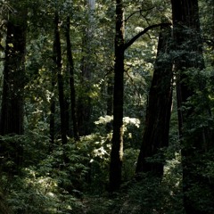 BINARY 06 Playlist 9.25.16