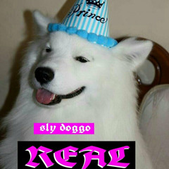 REAL (feat. Sly Doggo & Sage) [Prod. Lucid Soundz]