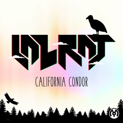 California Condor