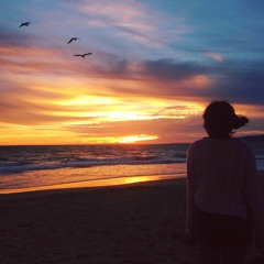 Organic Patterns - A Mid Fall Sunset