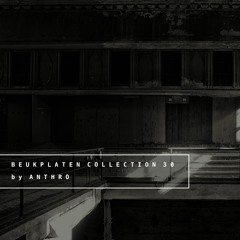 Beukplaten Collection 30 by Anthro
