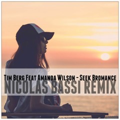 Tim Berg Feat. Amanda Wilson - Seek Bromance (Nicolas Bassi Remix) *FREE DOWNLOAD*