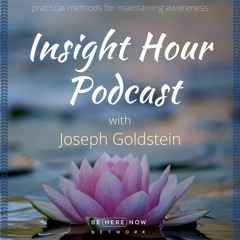 Joseph Goldstein - Insight Hour - Ep. 14 - Working With Fear