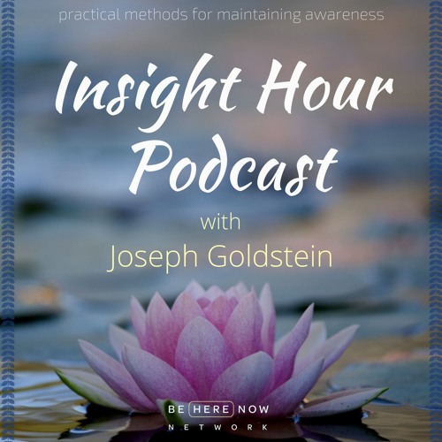 Joseph Goldstein - Insight Hour - Ep. 14 - Working With Fear