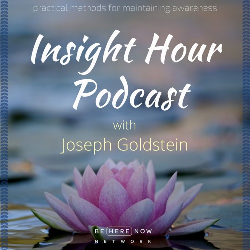 Joseph Goldstein - Insight Hour - Ep. 13 - Equanimity: The Gateway to Enlightenment