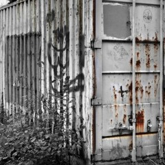 F.R.A.N - Demented (original Mix)