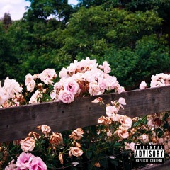 Prada Momma (prod. solow beats)