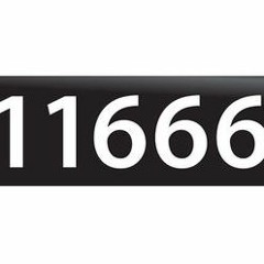 NLAlpha II SPECIAL TRACK (11666) PLAYS II