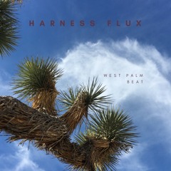 Harness Flux - West Palm Beat