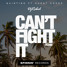Can't Fight It (DJ Rabid Remix)