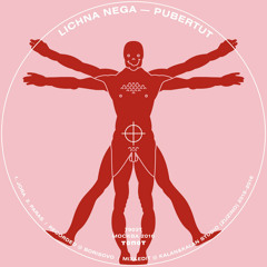 Lichna Nega - Panas