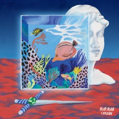 Agar Agar ~ Symbiose