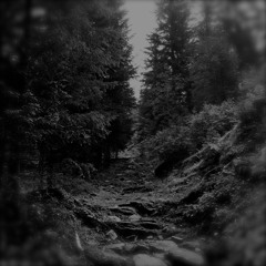 001 (2302060916)