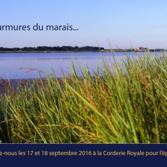 Murmures De Marais