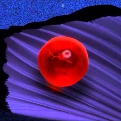 ANTONIN ROUX - EGG (FROM FINDING NEMO)